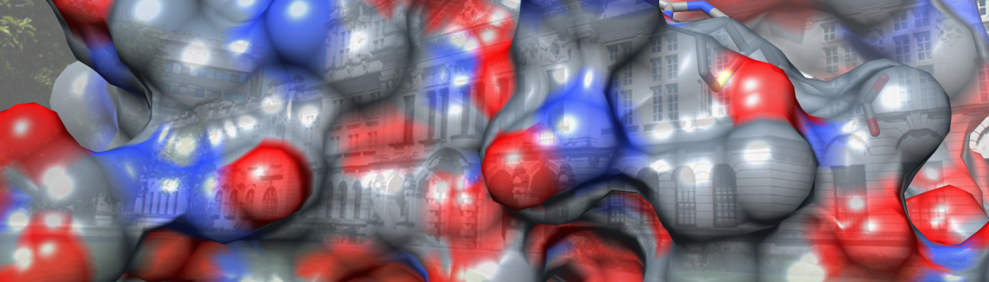 Luk's research group